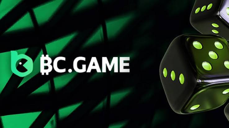 Exploring BC.Game A Comprehensive Look at Online Gaming in Germany