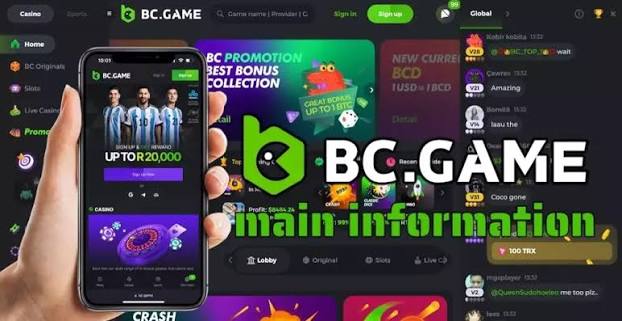 Understanding the BC.Game App Login Process -303505651 Understanding the BC.Game App Login Process -303505651
